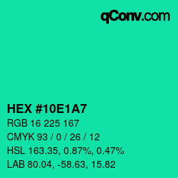 Color code: HEX #10E1A7 | qconv.com