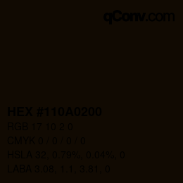 Color code: HEX #110A0200 | qconv.com