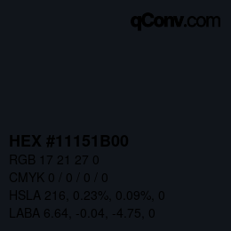 Color code: HEX #11151B00 | qconv.com
