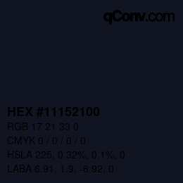 Color code: HEX #11152100 | qconv.com