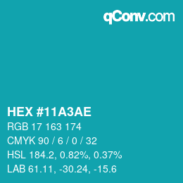 Color code: HEX #11A3AE | qconv.com