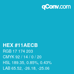 Color code: HEX #11AECB | qconv.com