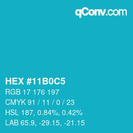Color code: HEX #11B0C5 | qconv.com