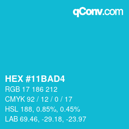 カラーコード: HEX #11BAD4 | qconv.com