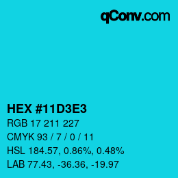 カラーコード: HEX #11D3E3 | qconv.com