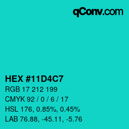 Color code: HEX #11D4C7 | qconv.com