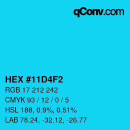 Color code: HEX #11D4F2 | qconv.com