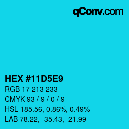Color code: HEX #11D5E9 | qconv.com