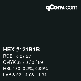 Color code: HEX #121B1B | qconv.com