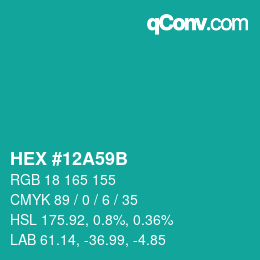 Color code: HEX #12A59B | qconv.com