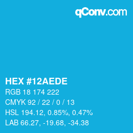 Color code: HEX #12AEDE | qconv.com