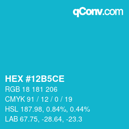 Color code: HEX #12B5CE | qconv.com