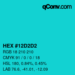 Color code: HEX #12D2D2 | qconv.com