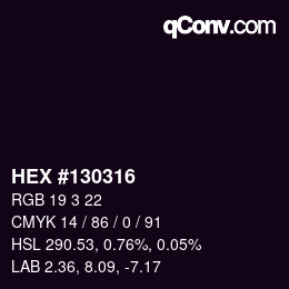 Color code: HEX #130316 | qconv.com
