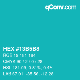 Color code: HEX #13B5B8 | qconv.com