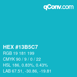 Color code: HEX #13B5C7 | qconv.com