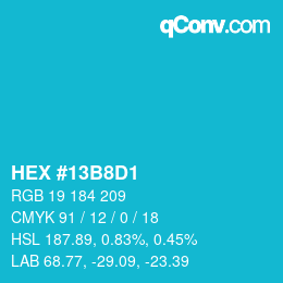 Color code: HEX #13B8D1 | qconv.com