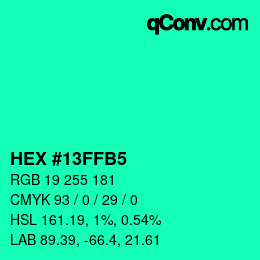 Color code: HEX #13FFB5 | qconv.com