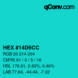 Color code: HEX #14D6CC | qconv.com