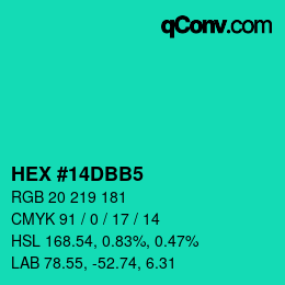 Color code: HEX #14DBB5 | qconv.com