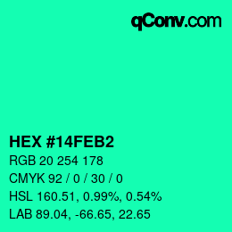 Color code: HEX #14FEB2 | qconv.com