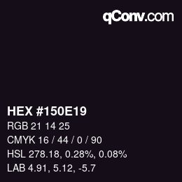 Color code: HEX #150E19 | qconv.com