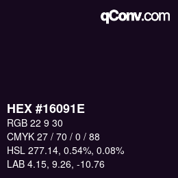 Color code: HEX #16091E | qconv.com