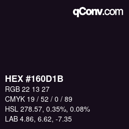 Color code: HEX #160D1B | qconv.com