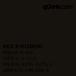 Color code: HEX #16120E00 | qconv.com