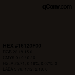 Color code: HEX #16120F00 | qconv.com