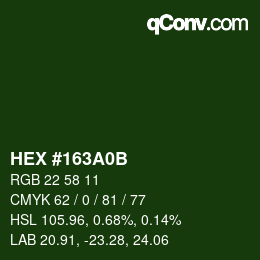 Farbcode: HEX #163A0B | qconv.com