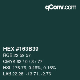 Color code: HEX #163B39 | qconv.com