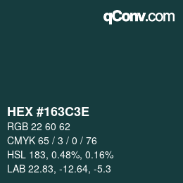 Color code: HEX #163C3E | qconv.com