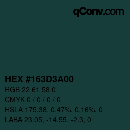 Color code: HEX #163D3A00 | qconv.com