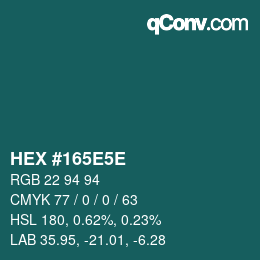 Color code: HEX #165E5E | qconv.com