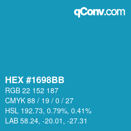 Color code: HEX #1698BB | qconv.com