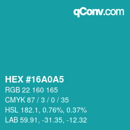 Color code: HEX #16A0A5 | qconv.com