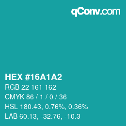 Color code: HEX #16A1A2 | qconv.com