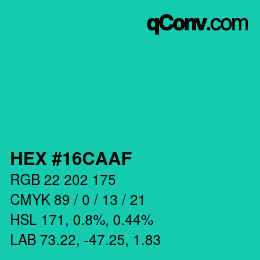 Color code: HEX #16CAAF | qconv.com