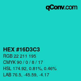 Color code: HEX #16D3C3 | qconv.com