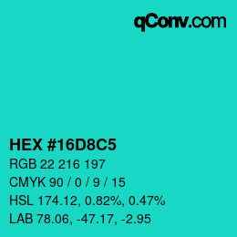Color code: HEX #16D8C5 | qconv.com