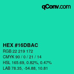 Color code: HEX #16DBAC | qconv.com