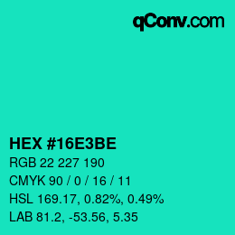 Color code: HEX #16E3BE | qconv.com