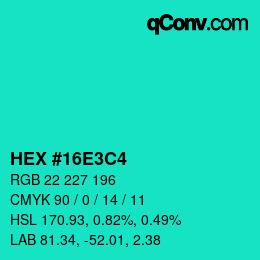 Color code: HEX #16E3C4 | qconv.com