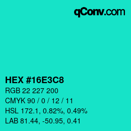 Color code: HEX #16E3C8 | qconv.com