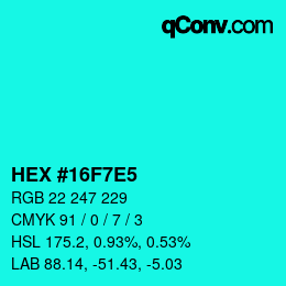 Color code: HEX #16F7E5 | qconv.com