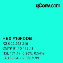 カラーコード: HEX #16FDDB | qconv.com