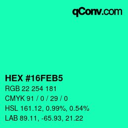 Color code: HEX #16FEB5 | qconv.com