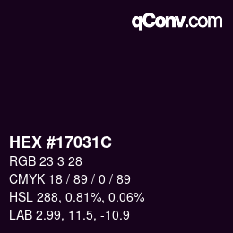Color code: HEX #17031C | qconv.com