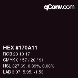 颜色代码: HEX #170A11 | qconv.com